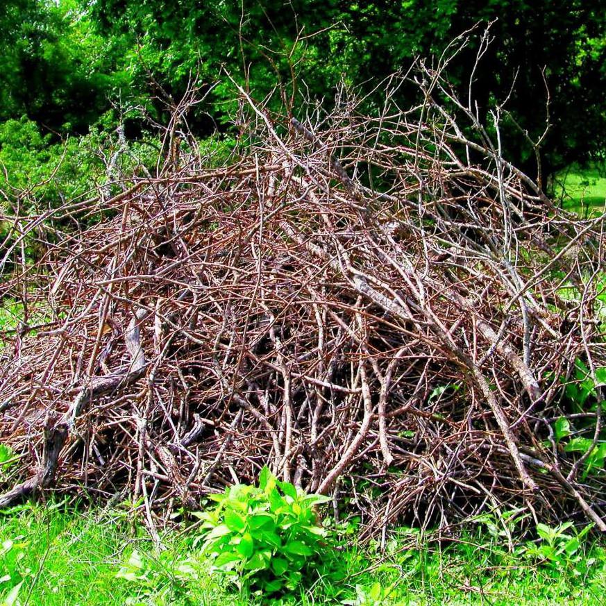 Brush Removal St Louis Lawn and Land