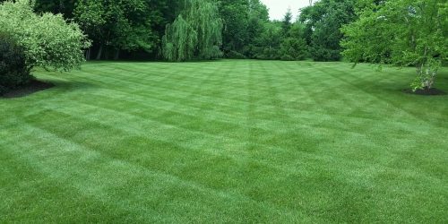 Lawn Care, Lawn Mowing, Grass Cutting, Lawn Maintenace, Lawn Care Business