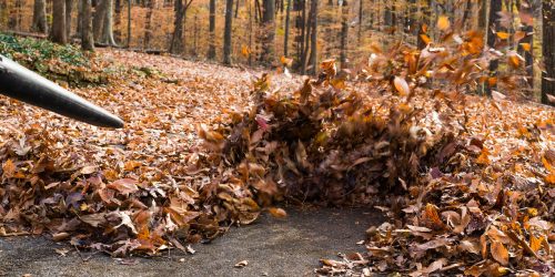 Leaf Removal, Leaf Removal service, Fall Clean Up, Spring Clean Up, Free Estimate