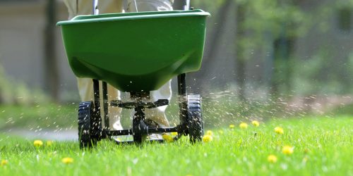 Aeration & Overseeding Lawn Care Service