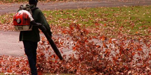 Leaf Removal, Leaf Removal service, Fall Clean Up, Spring Clean Up,